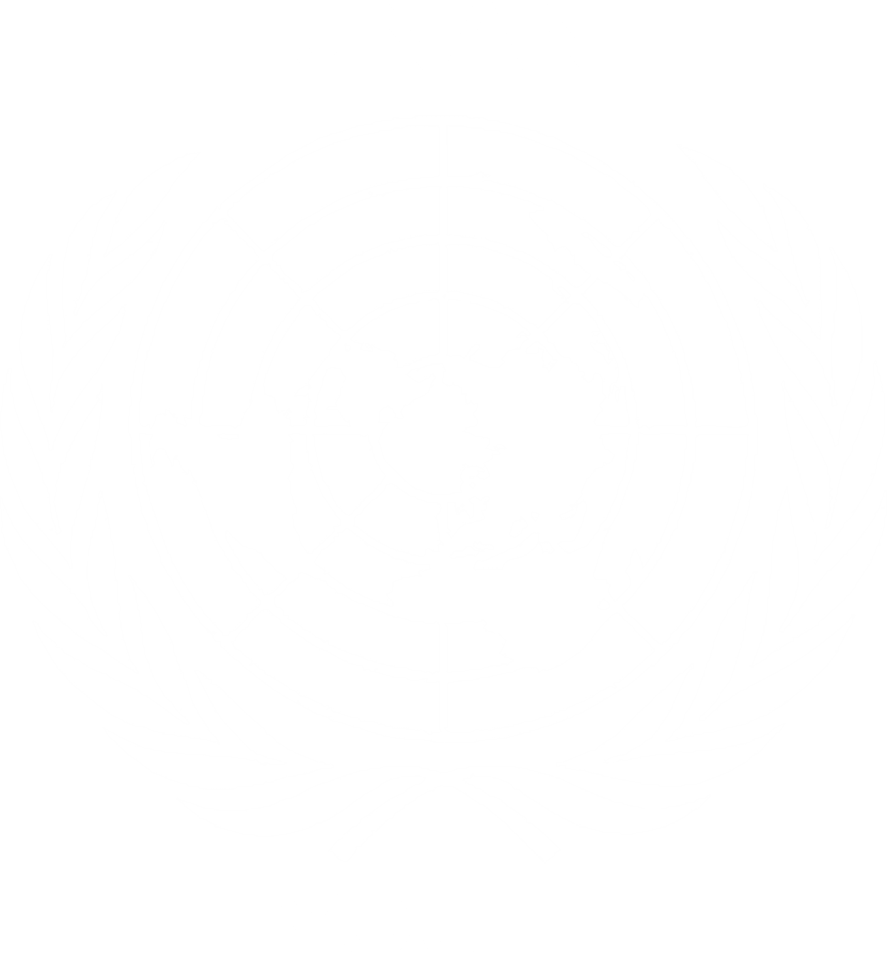 UNA Youth Wing Logo